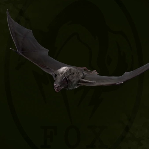 メタルギアデルタ_チスイコウモリ_アイコン